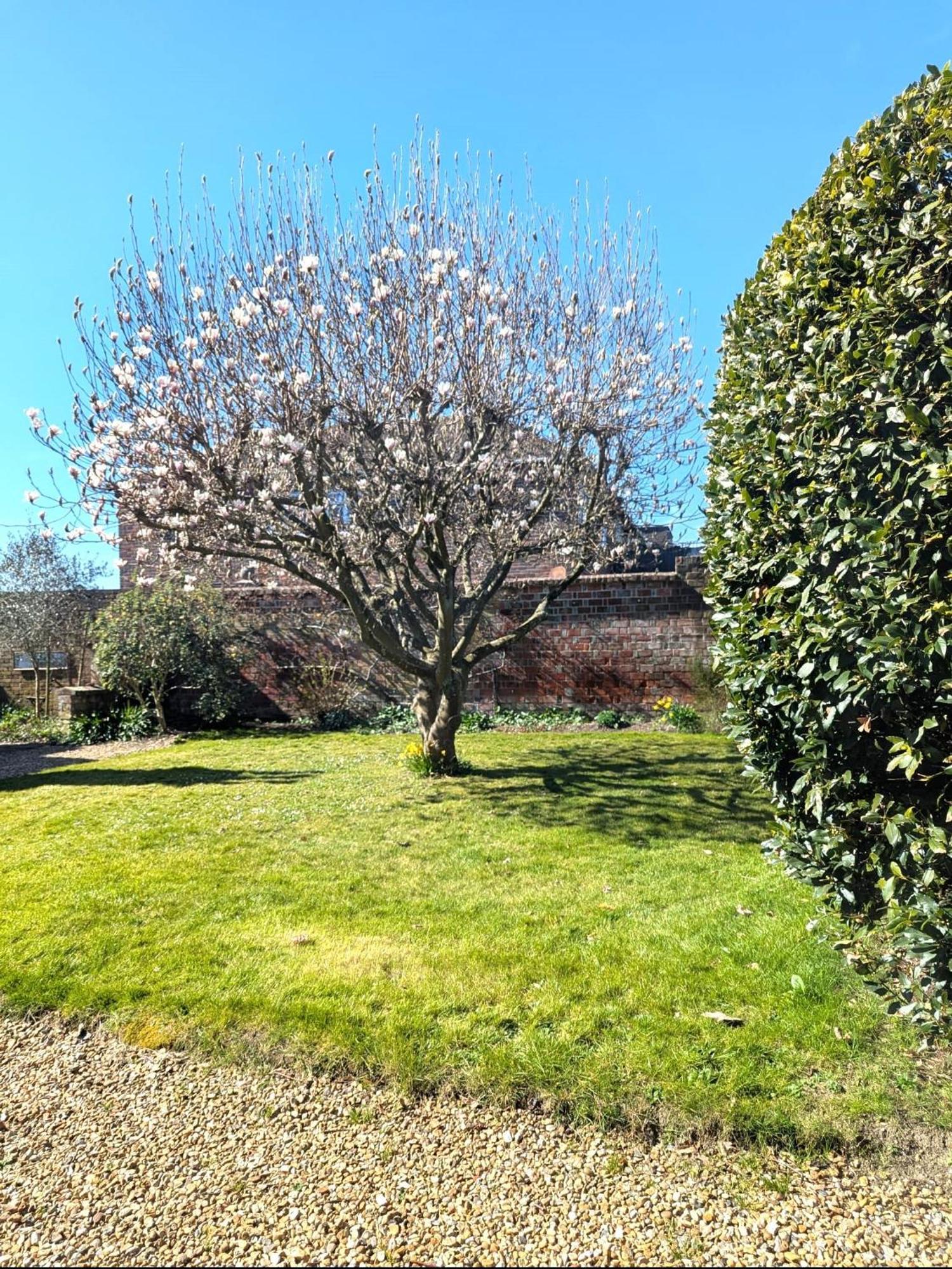 Georgian 2 Bedroom Apartment In Chichester With Free Parking - Chichester Holiday Properties Eksteriør bilde