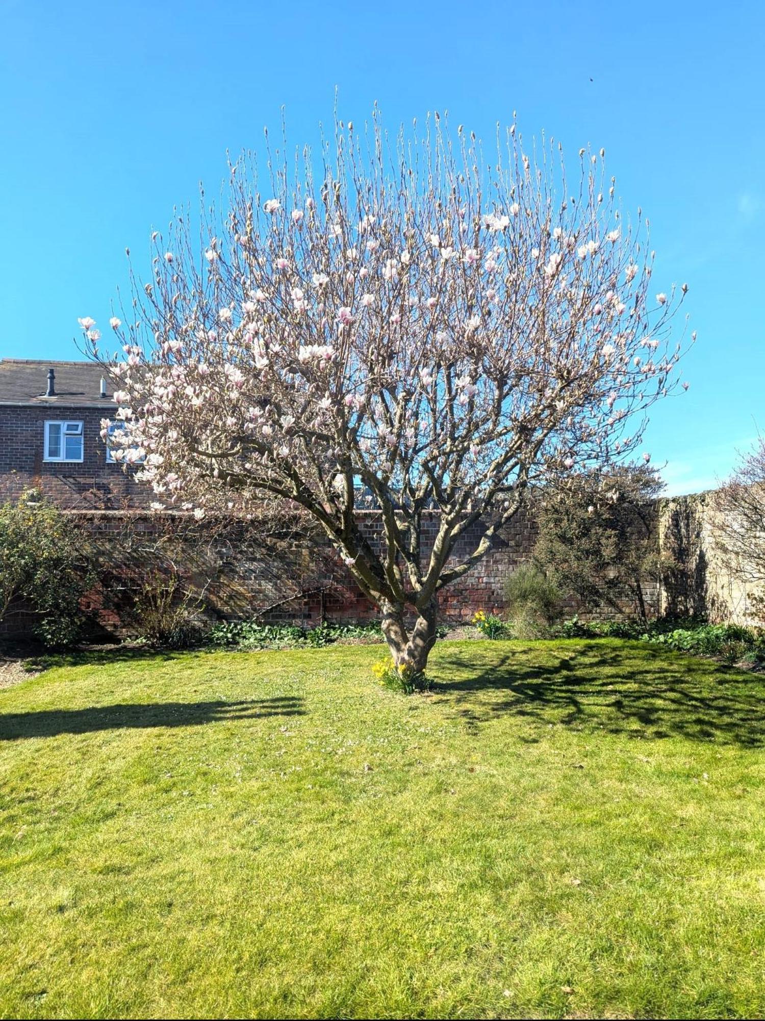 Georgian 2 Bedroom Apartment In Chichester With Free Parking - Chichester Holiday Properties Eksteriør bilde