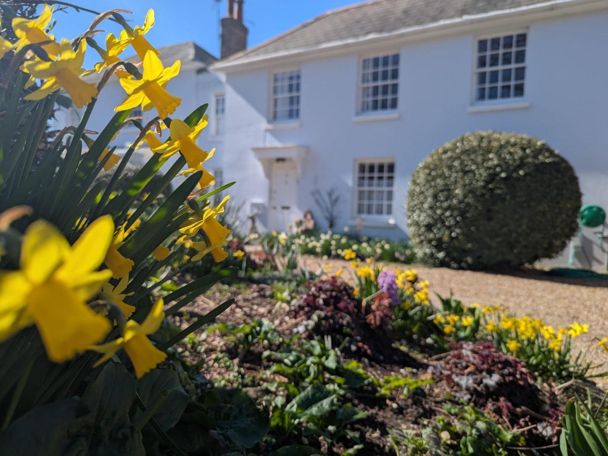 Georgian 2 Bedroom Apartment In Chichester With Free Parking - Chichester Holiday Properties Eksteriør bilde