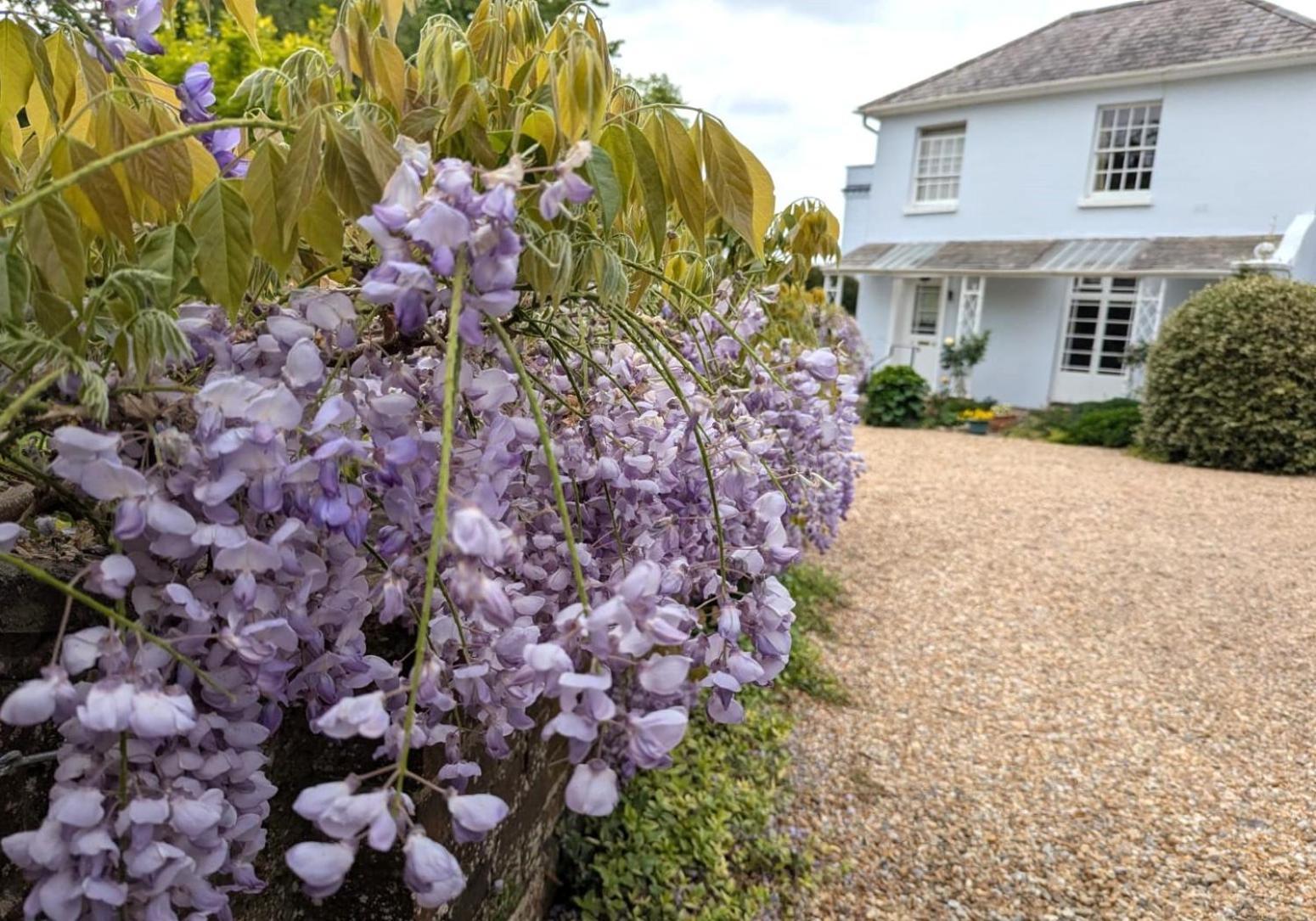 Georgian 2 Bedroom Apartment In Chichester With Free Parking - Chichester Holiday Properties Eksteriør bilde
